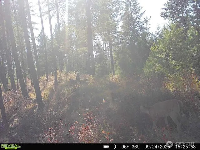 $230,000 | 1733 Old CC Road, Addy, WA 99101