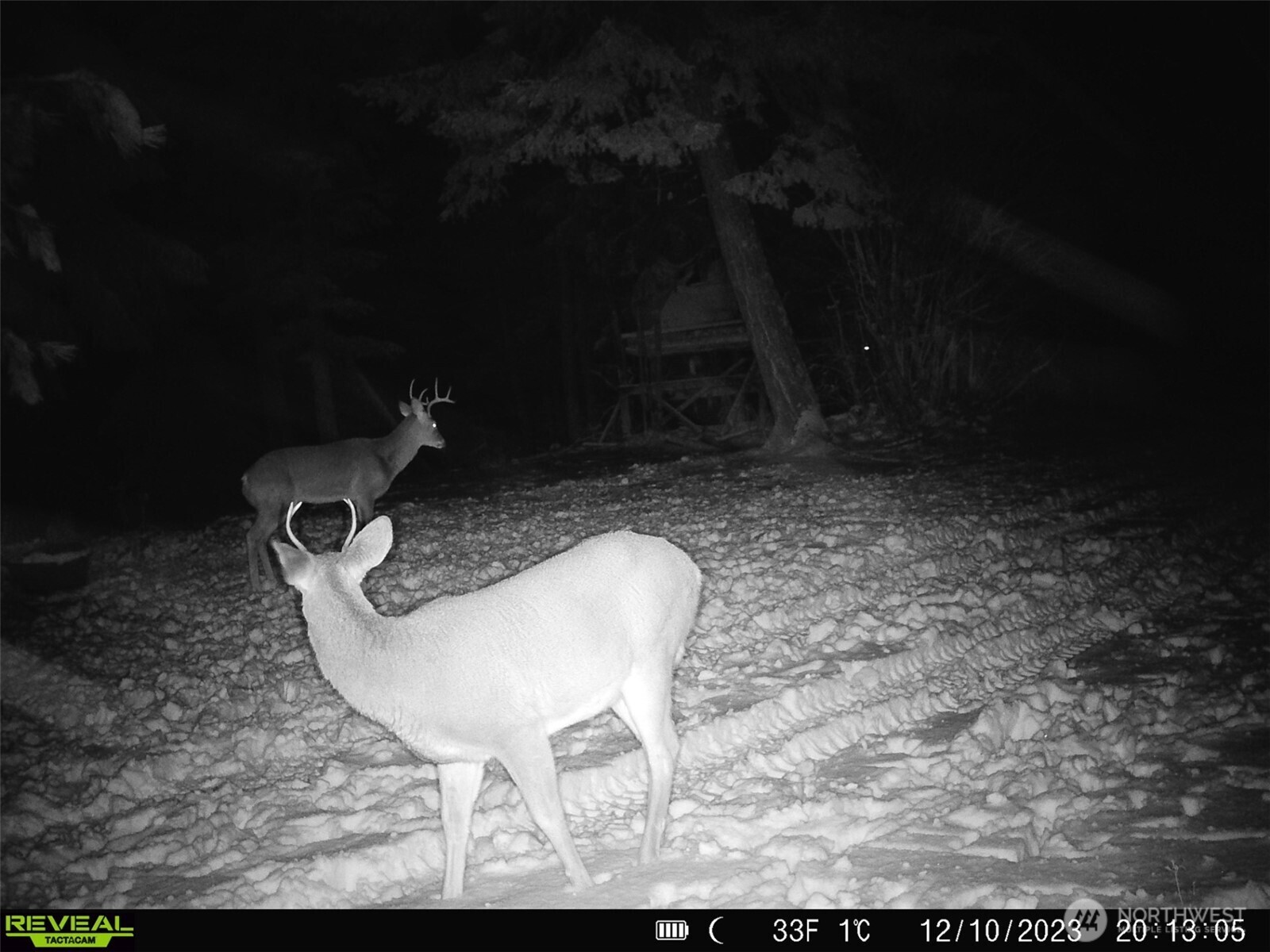 1733 Old CC Road Addy, WA 99101 - Photo 5 of 38