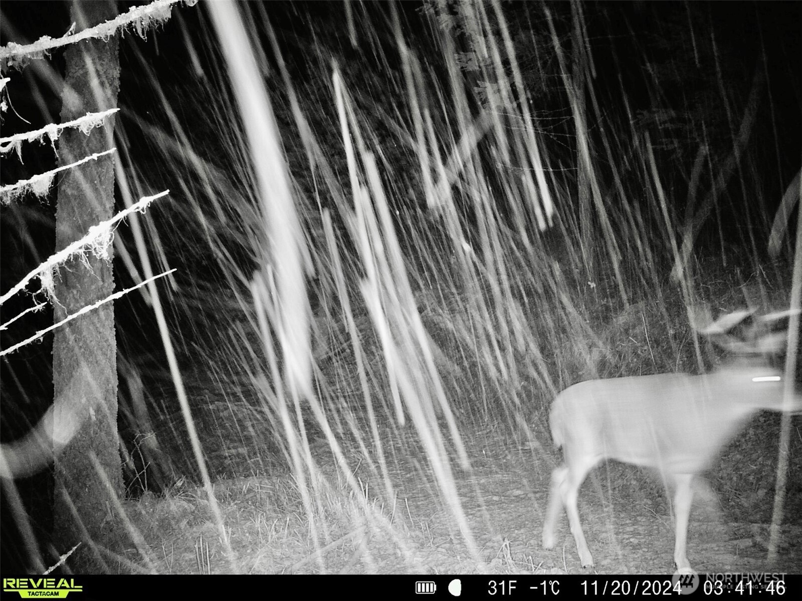 1733 Old CC Road Addy, WA 99101 - Photo 6 of 38