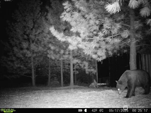 1733 Old CC Road Addy, WA 99101 - Photo 7 of 38 a backyard of a house with lots of green space