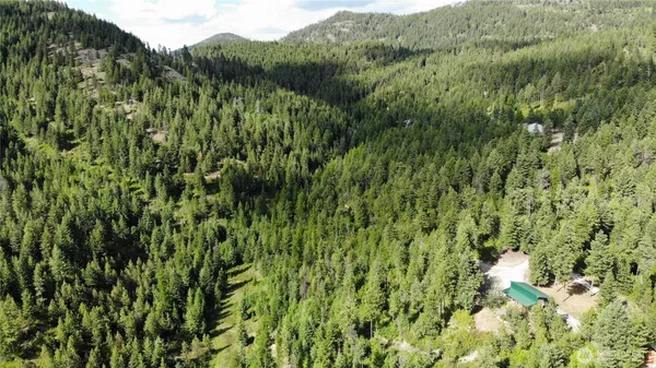 a view of a lush green forest with a lush green forest