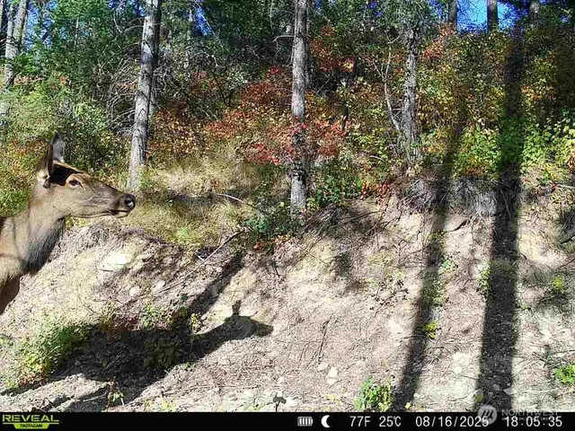 $230,000 | 1733 Old CC Road, Addy, WA 99101