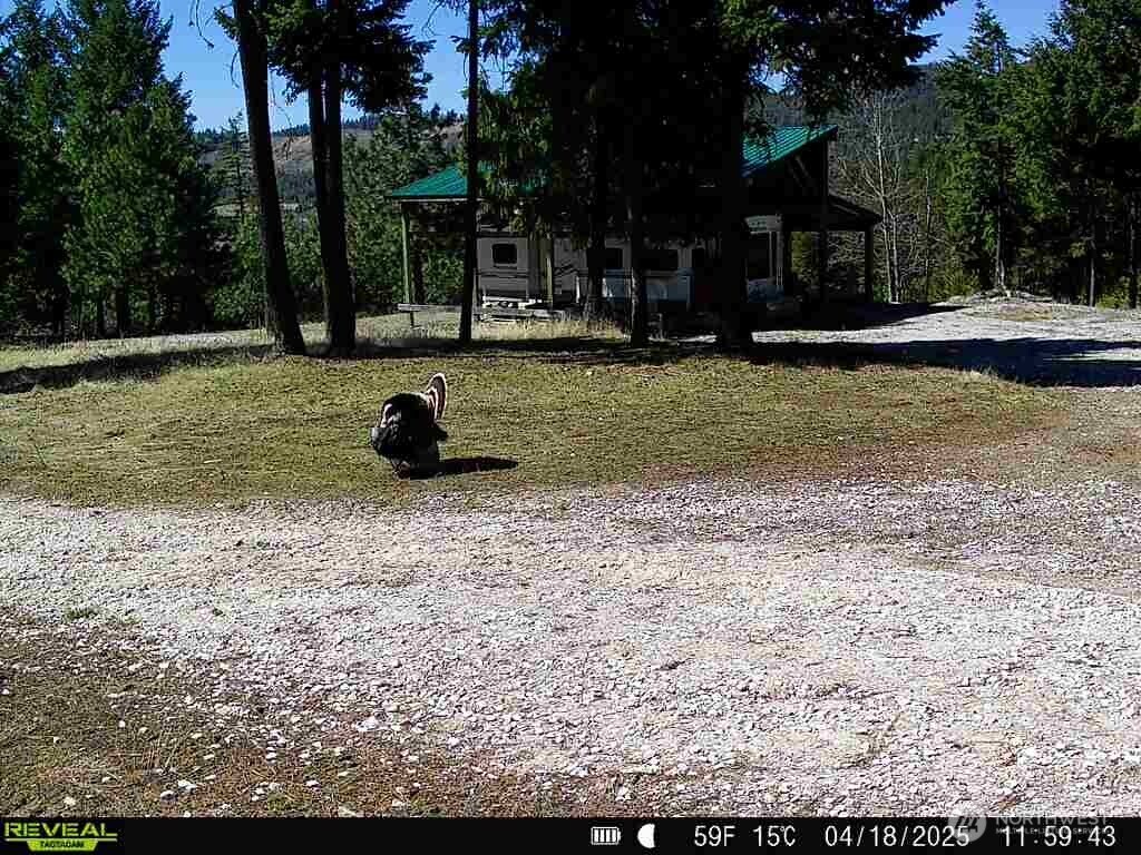 1733 Old CC Road Addy, WA 99101 - Photo 10 of 38 a park view with outdoor seating