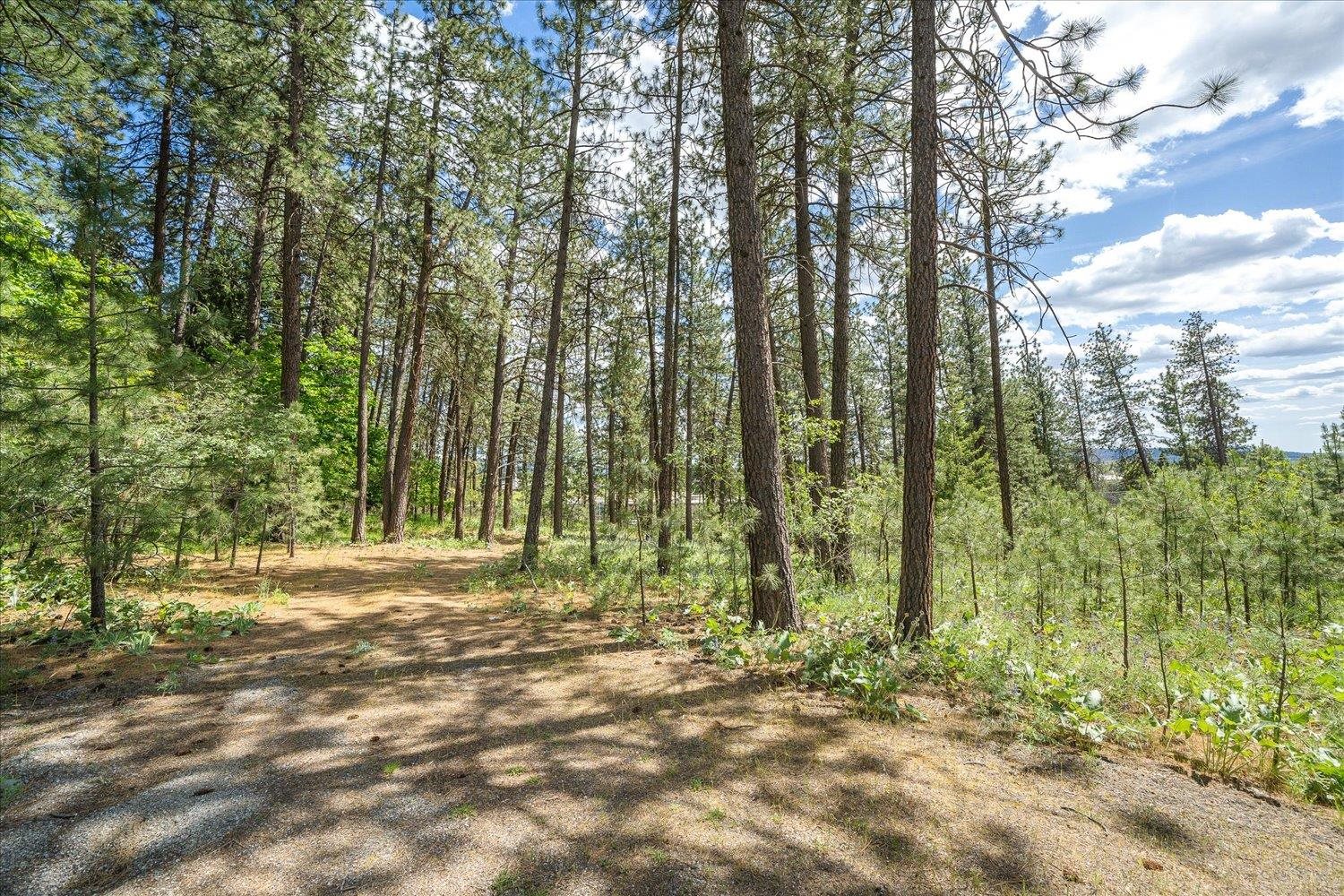 4502 North Bessie Road Spokane, WA 99212 - Photo 2 of 8 Gallery Image 2