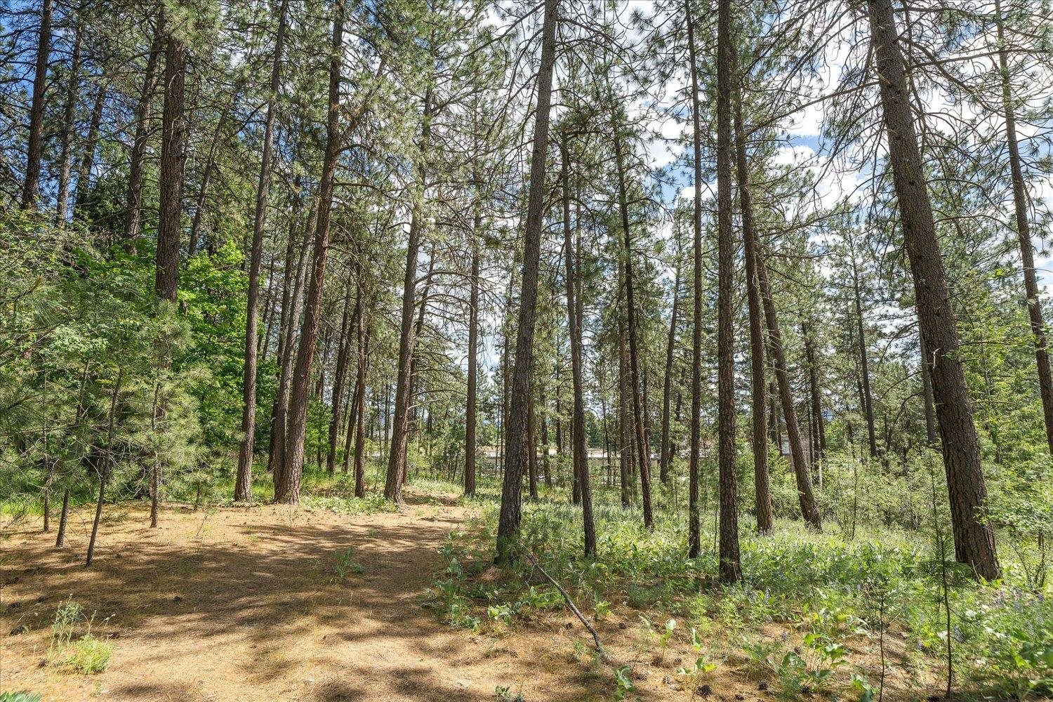 4502 North Bessie Road Spokane, WA 99212 - Photo 3 of 8 Gallery Image 3