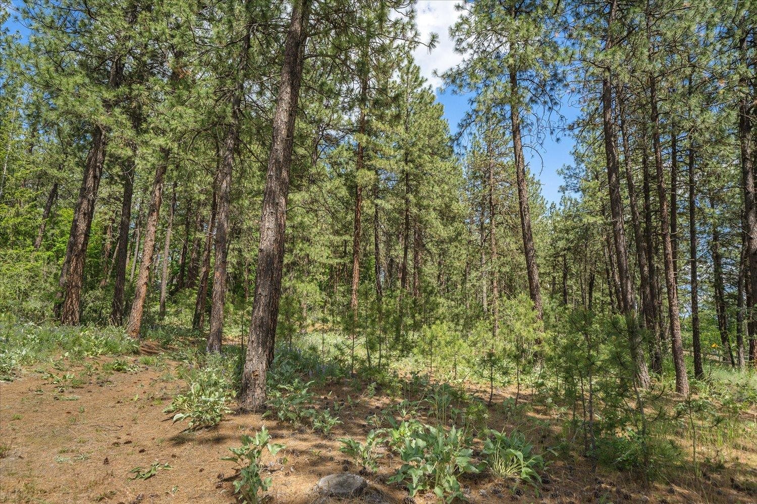 4502 North Bessie Road Spokane, WA 99212 - Photo 4 of 8 Gallery Image 4