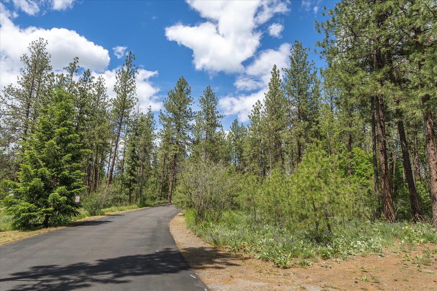 4502 North Bessie Road Spokane, WA 99212 - Photo 5 of 8 Gallery Image 5