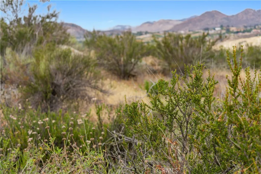 1 Gray Squirrel Road Temecula, CA 92592 - Photo 52 of 74