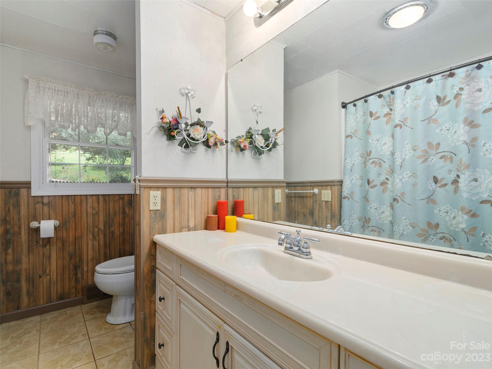 450 Chambers Road Waynesville, NC 28786 - Photo 14 of 28 a bathroom with a sink a toilet and a mirror