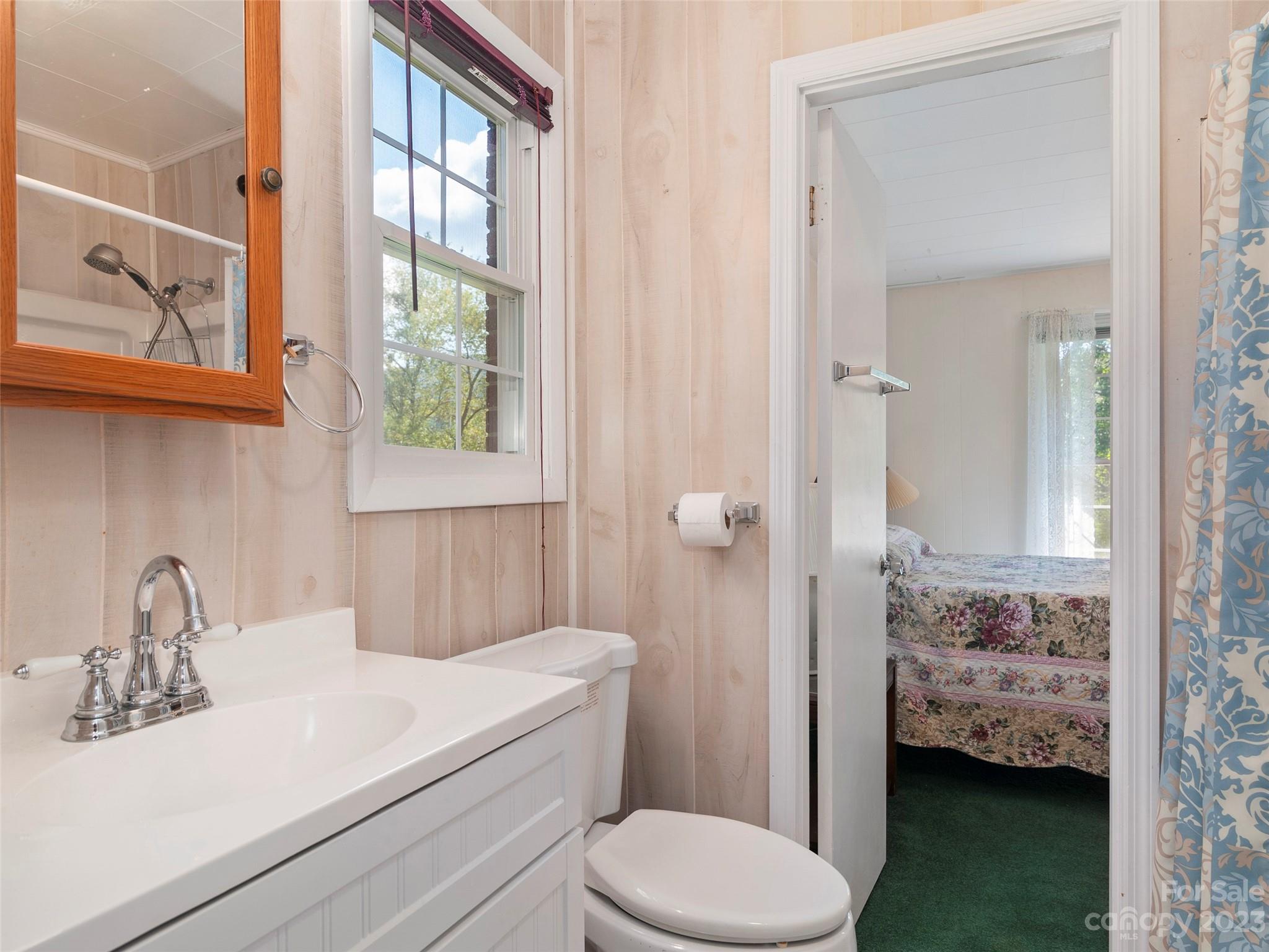 450 Chambers Road Waynesville, NC 28786 - Photo 16 of 28 a bathroom with a sink a toilet and shower