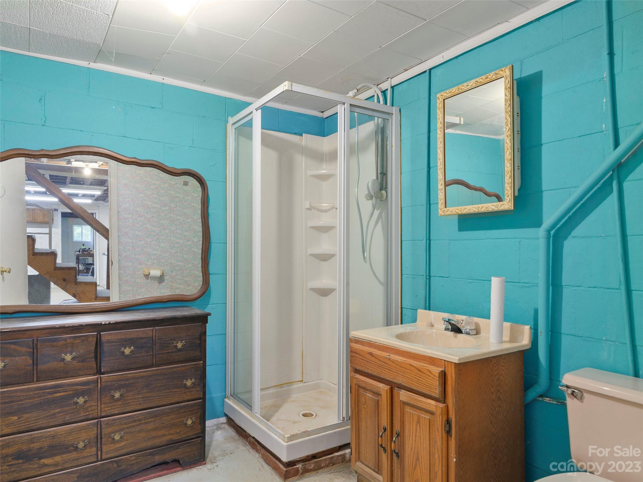 450 Chambers Road Waynesville, NC 28786 - Photo 19 of 28 a bathroom with a sink a mirror and a toilet