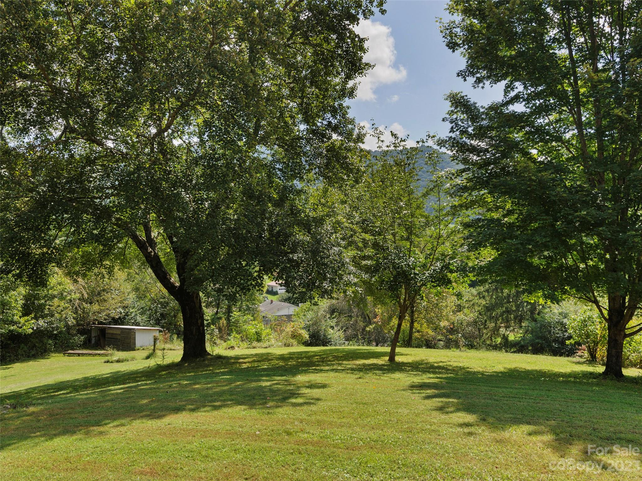 450 Chambers Road Waynesville, NC 28786 - Photo 25 of 28 a view of a trees in a yard