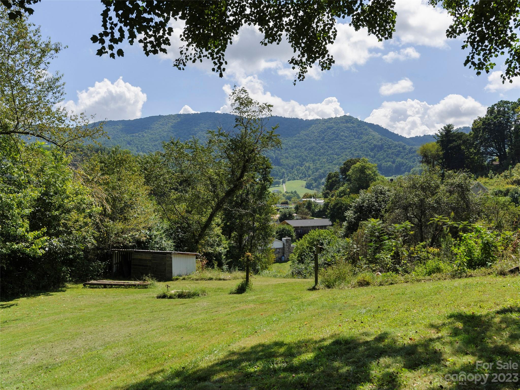 450 Chambers Road Waynesville, NC 28786 - Photo 26 of 28 a backyard of a house with lots of green space
