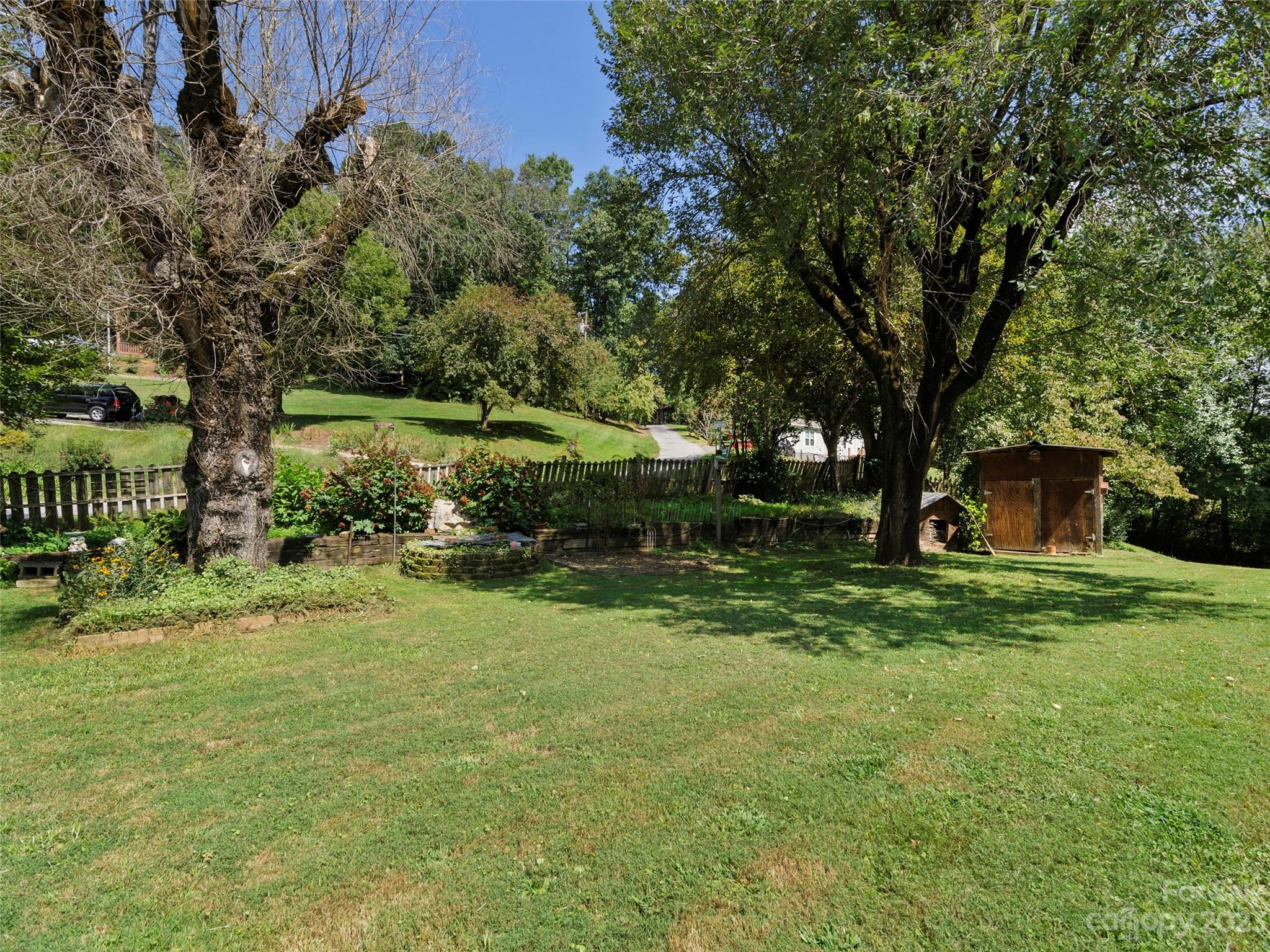 450 Chambers Road Waynesville, NC 28786 - Photo 3 of 28 a view of a garden with a tree