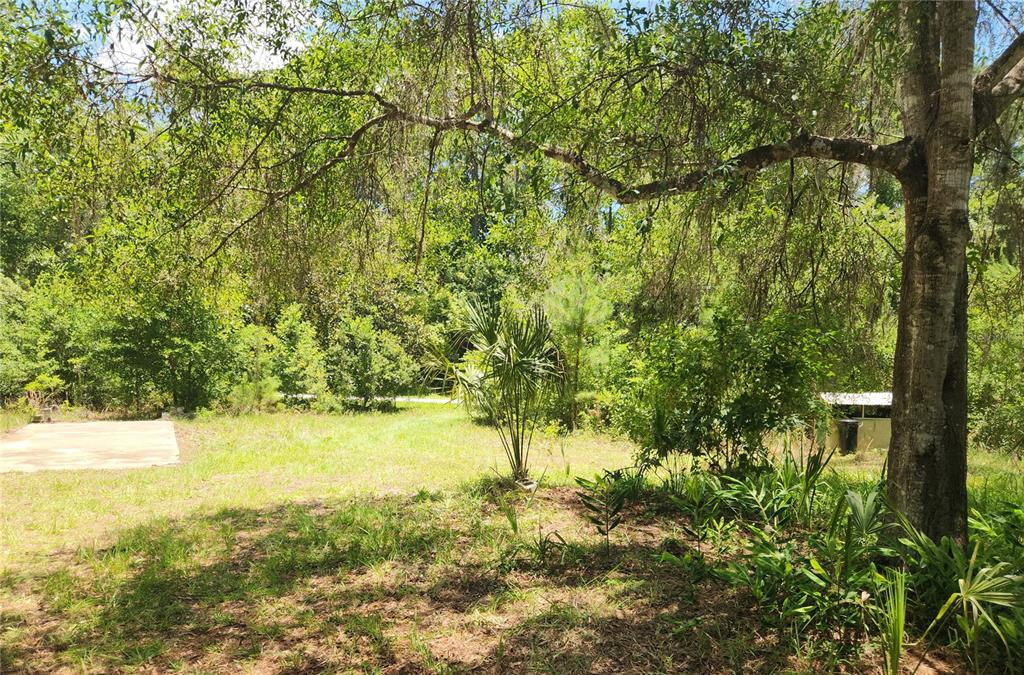 22835 Southwest 117th Place Road Dunnellon, FL 34431 - Photo 14 of 48