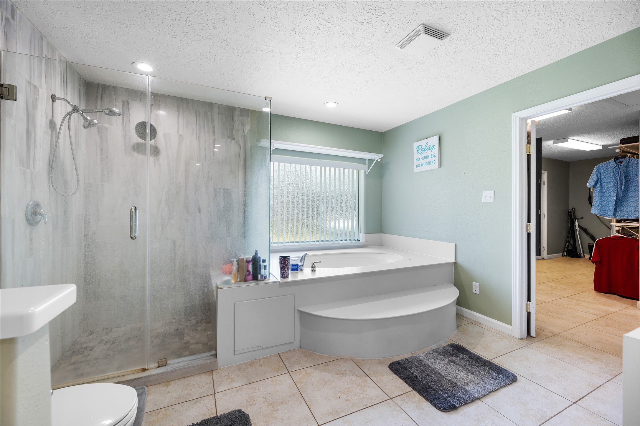 22831 Fritz Lane Spring, TX 77389 - Photo 24 of 50