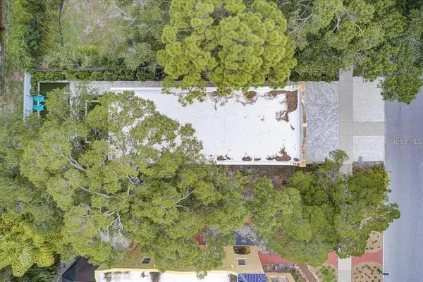 a view of a tree with a yard