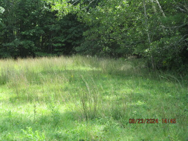 0 Storer Road Brunswick, ME 04011 - Photo 4 of 8 IMG_5658