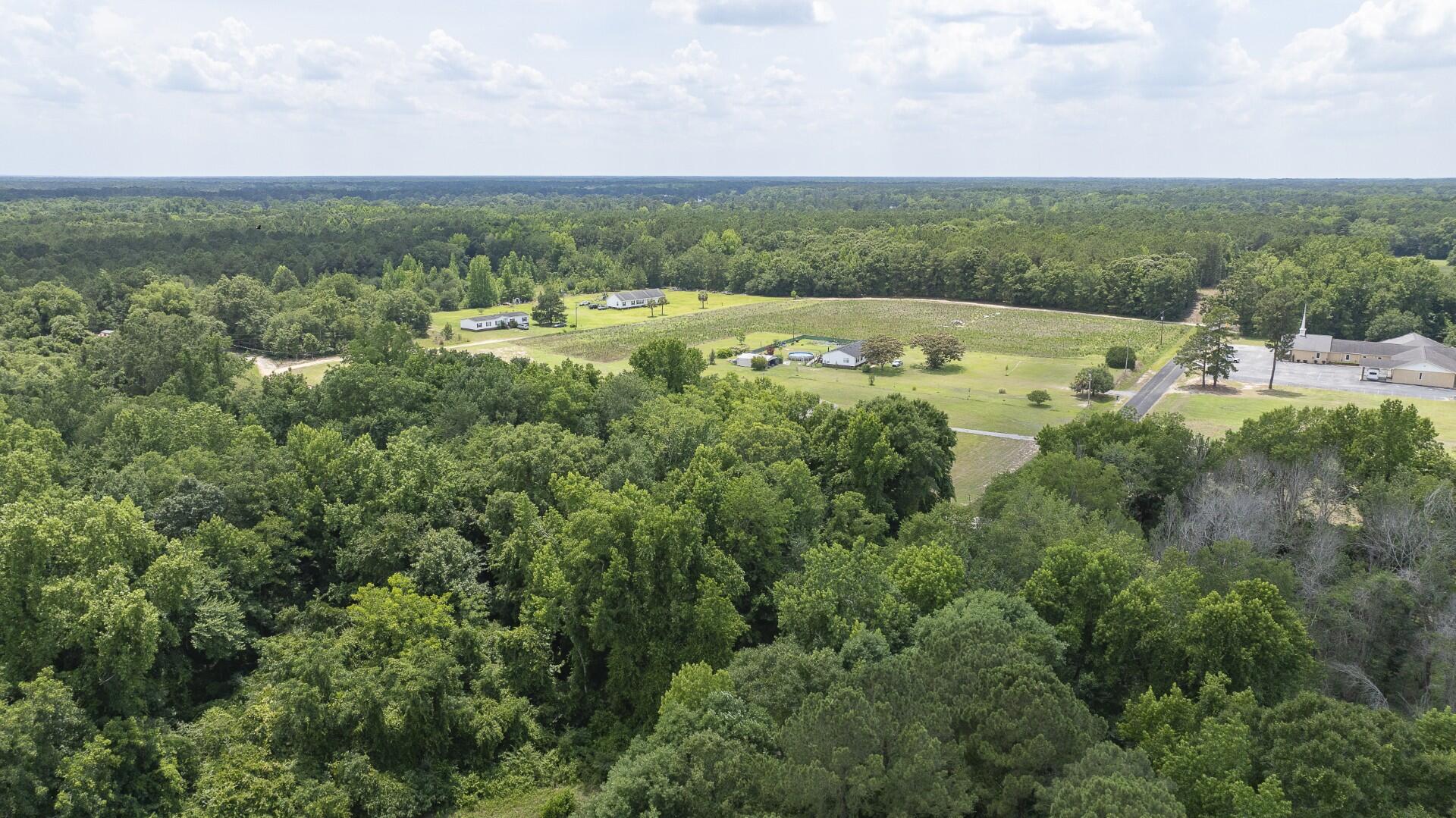 2 Joseph Lemon And Dingle Road Manning, SC 29102 - Photo 25 of 44