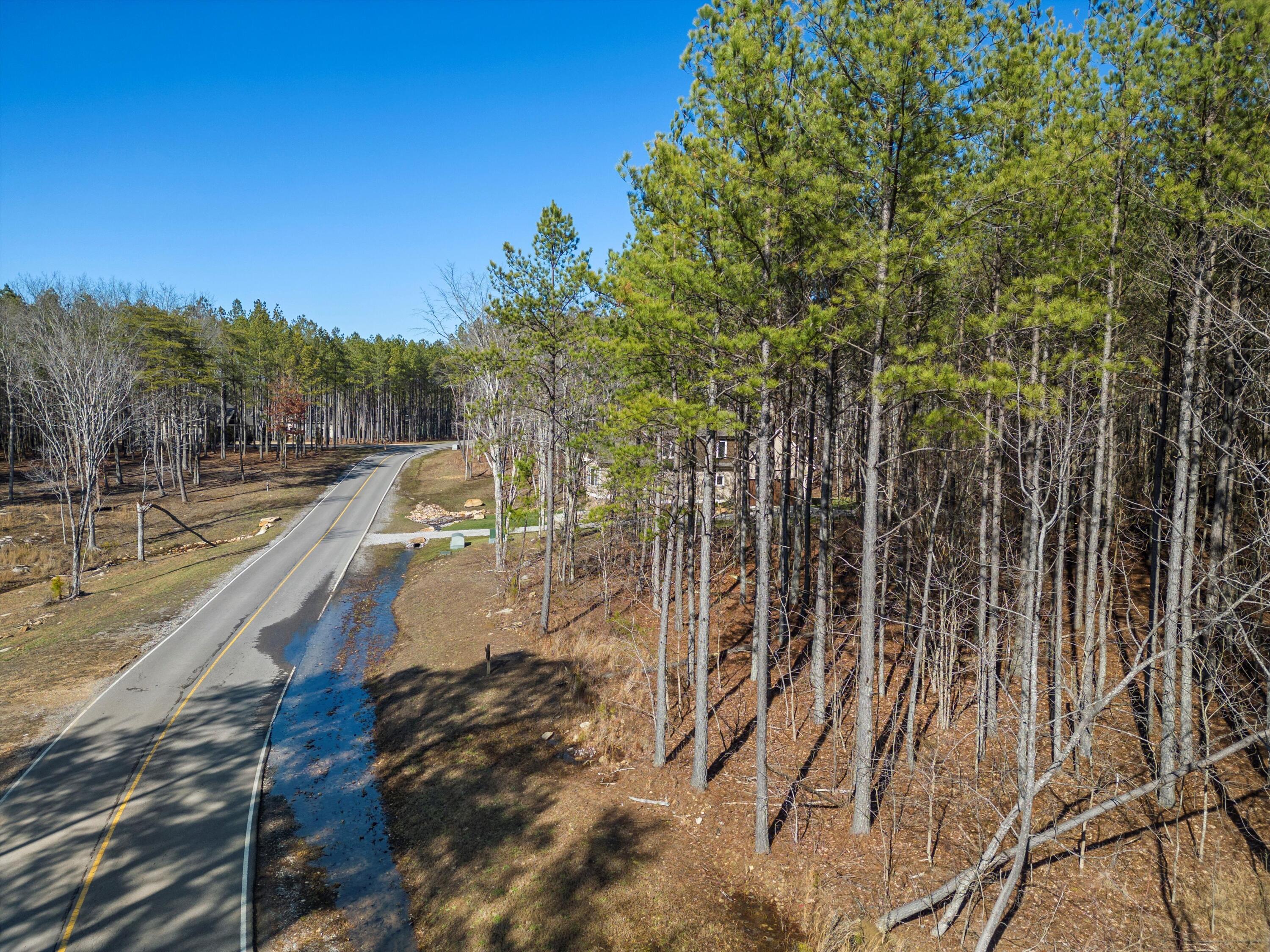 0 Raulston Falls Drive, Unit JF114 Jasper, TN 37347 - Photo 11 of 30 07-DJI_0263