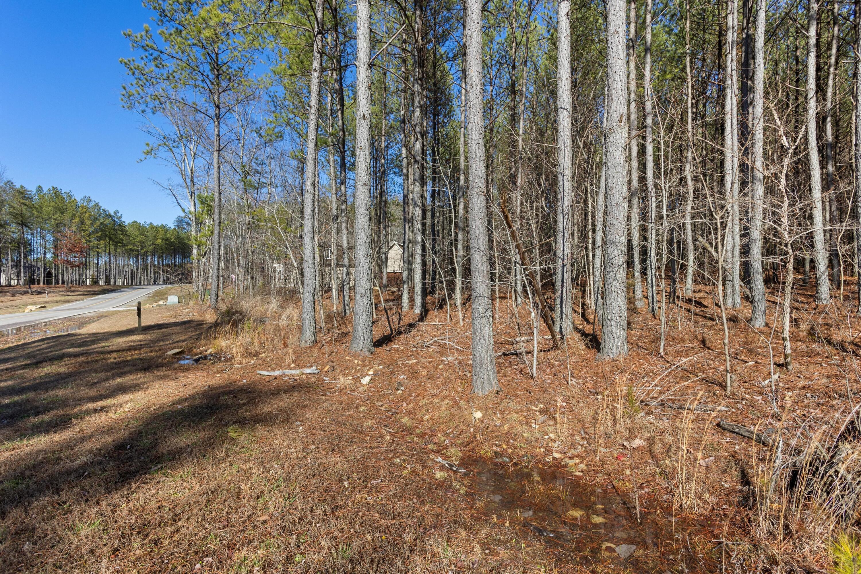 0 Raulston Falls Drive, Unit JF114 Jasper, TN 37347 - Photo 7 of 30 02-2M6A5919