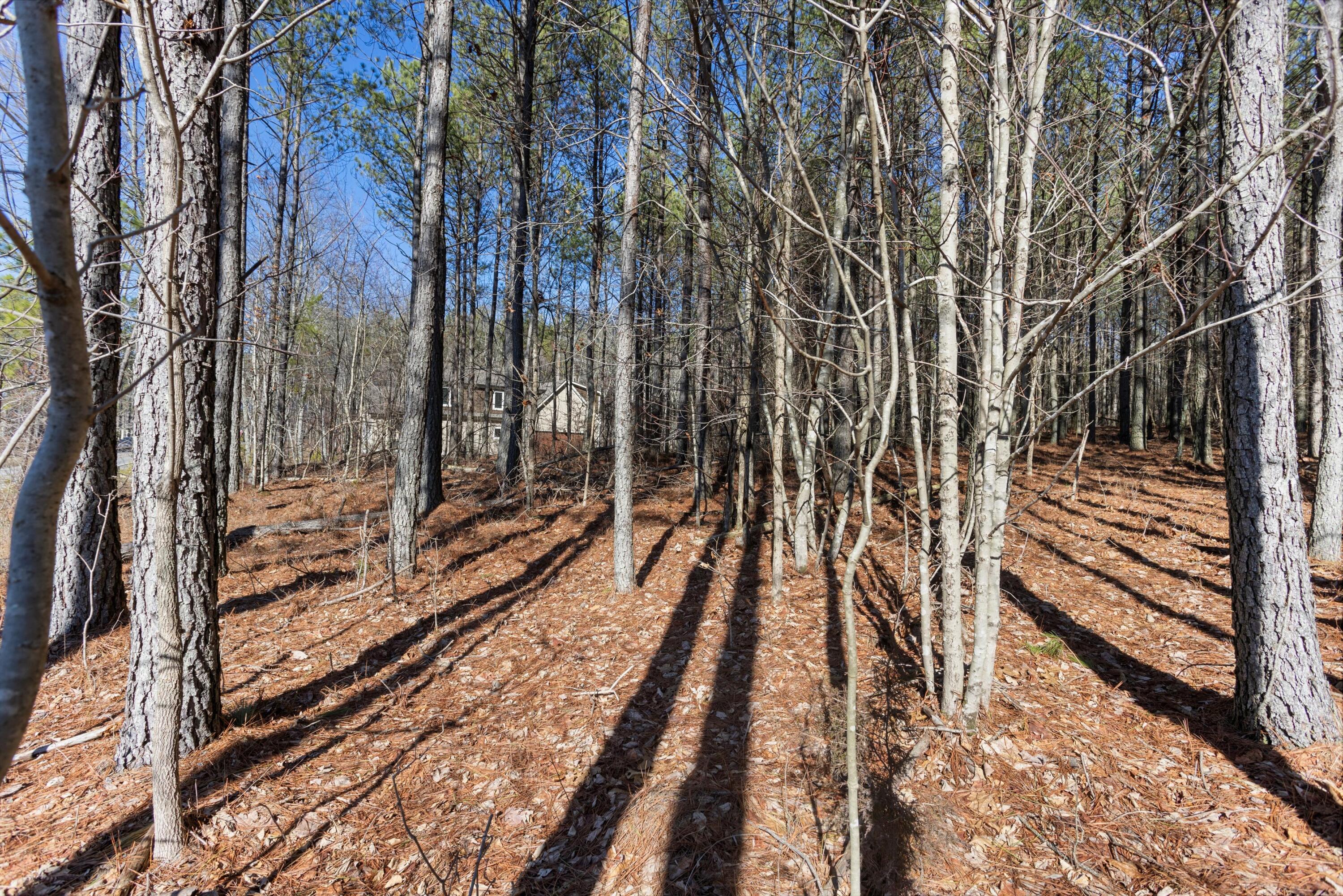 0 Raulston Falls Drive, Unit JF114 Jasper, TN 37347 - Photo 8 of 30 03-2M6A5922