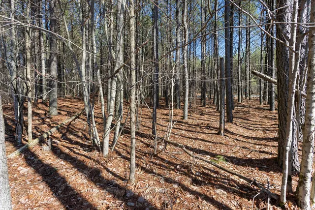 $140,000 | 0 Raulston Falls Drive, Unit JF114, Jasper, TN 37347