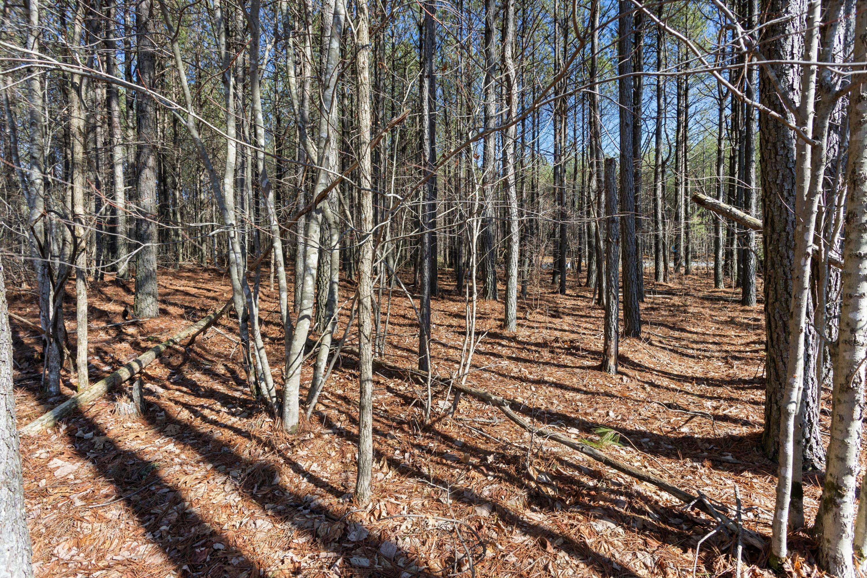 0 Raulston Falls Drive, Unit JF114 Jasper, TN 37347 - Photo 9 of 30 04-2M6A5925