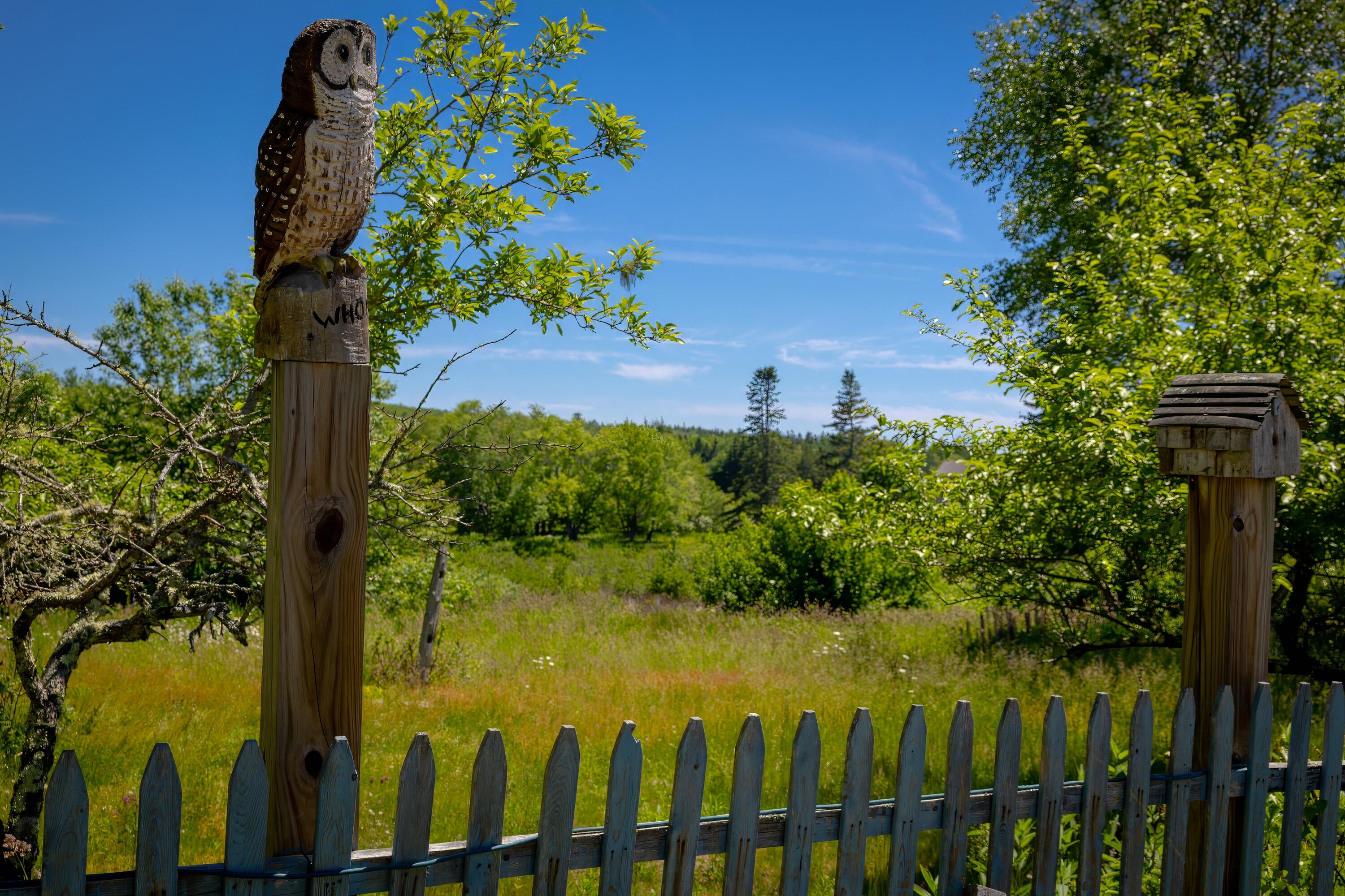118 Village Road Steuben, ME 04680 - Photo 10 of 49 33-118 Village Road-DTP