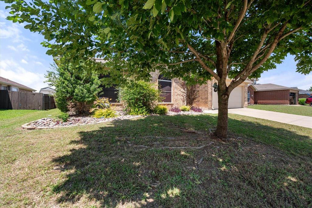 3429 Newgate Street Midlothian, TX 76065 - Photo 3 of 28