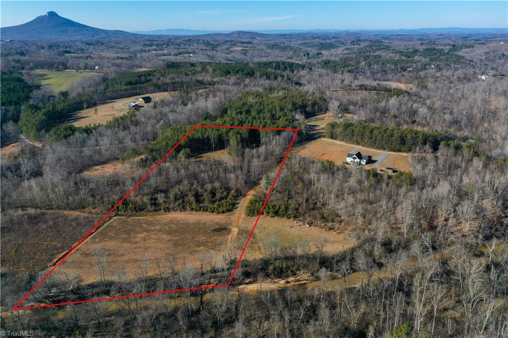 Lot #3 Sand Hole Road Pinnacle, NC 27043 - Photo 3 of 11