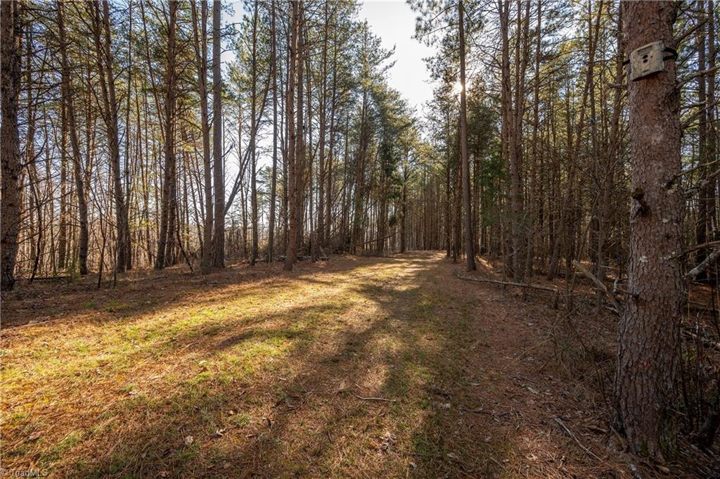 Lot #3 Sand Hole Road Pinnacle, NC 27043 - Photo 7 of 11