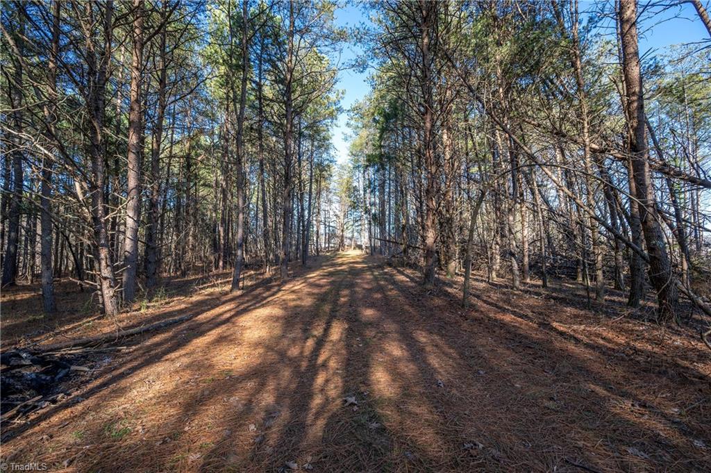 Lot #3 Sand Hole Road Pinnacle, NC 27043 - Photo 8 of 11
