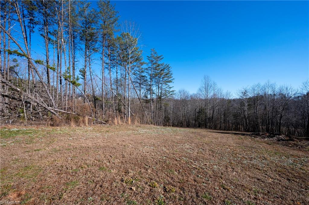 Lot #3 Sand Hole Road Pinnacle, NC 27043 - Photo 9 of 11