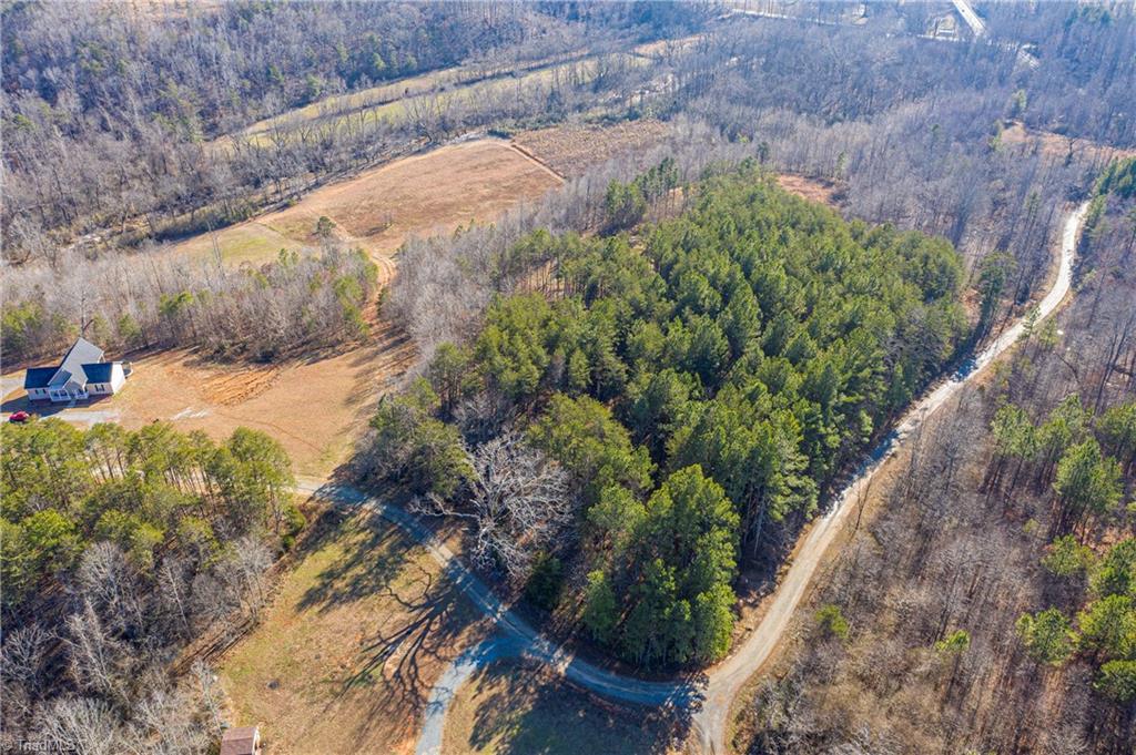 Lot #3 Sand Hole Road Pinnacle, NC 27043 - Photo 10 of 11
