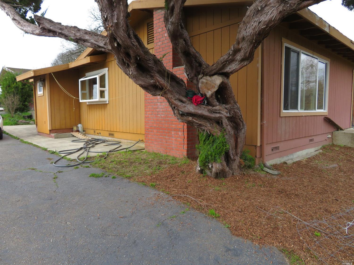 2726 Canfield Road Sebastopol, CA 95472 - Photo 1 of 1 Front and south side of home.