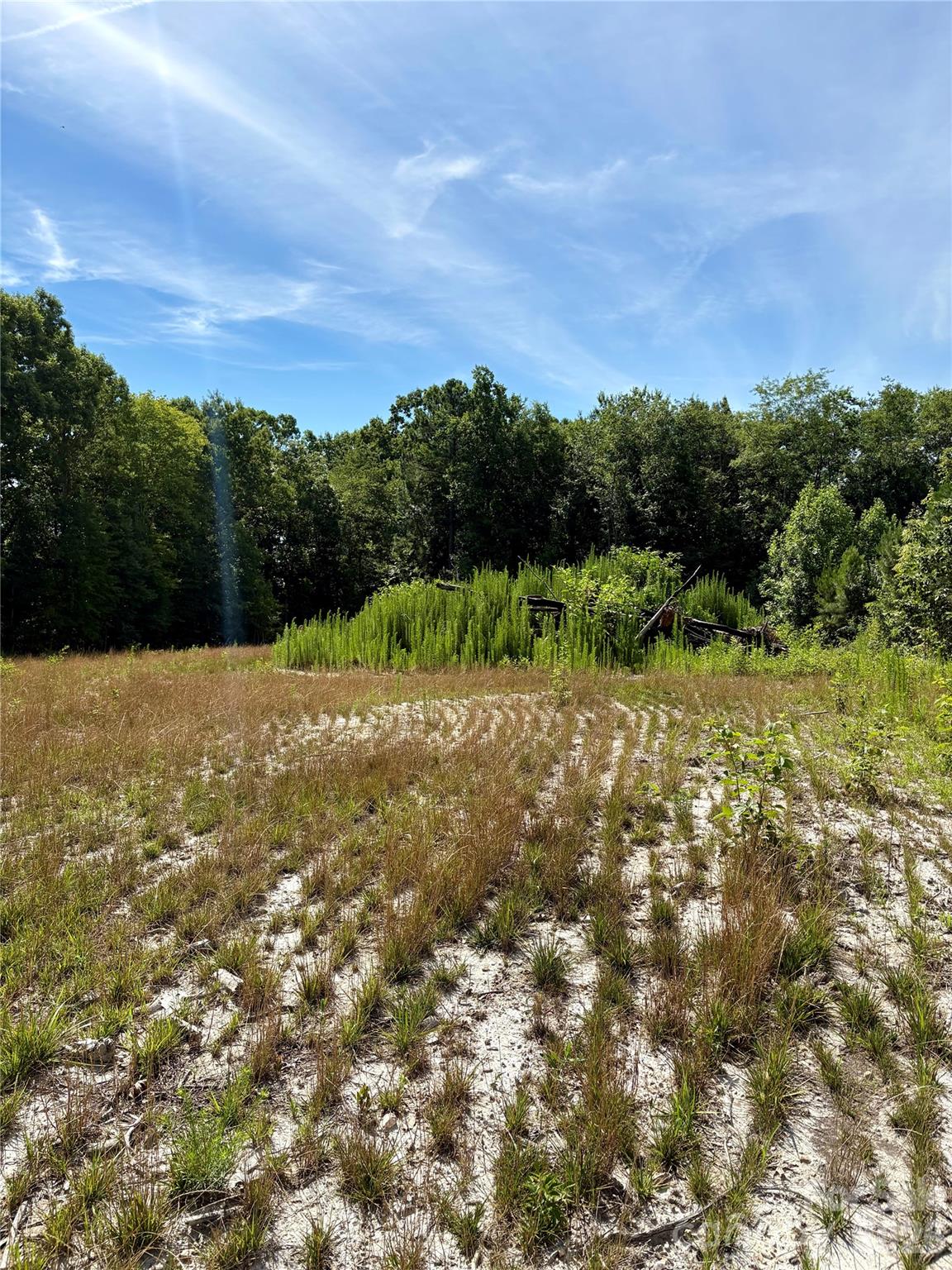 1323 Hill Road Lincolnton, NC 28092 - Photo 10 of 14