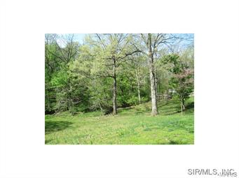 22939 Green Acres Road Dow, IL 62022 - Photo 18 of 24