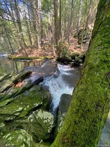 a view of a garden with large trees