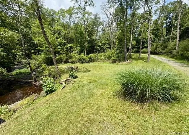 a view of a garden with a tree