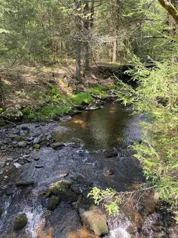 a view of a lake with lots of trees
