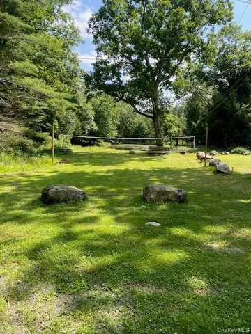 a view of a trees in a yard