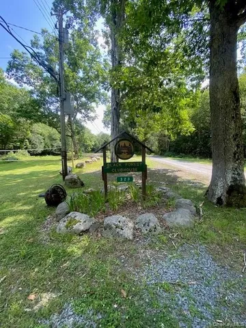 a view of a park with large trees