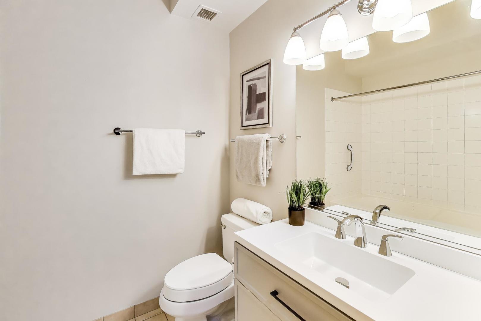 1155 South State Street, Unit C404 Chicago, IL 60605 - Photo 10 of 18 a bathroom with a sink vanity mirror and toilet