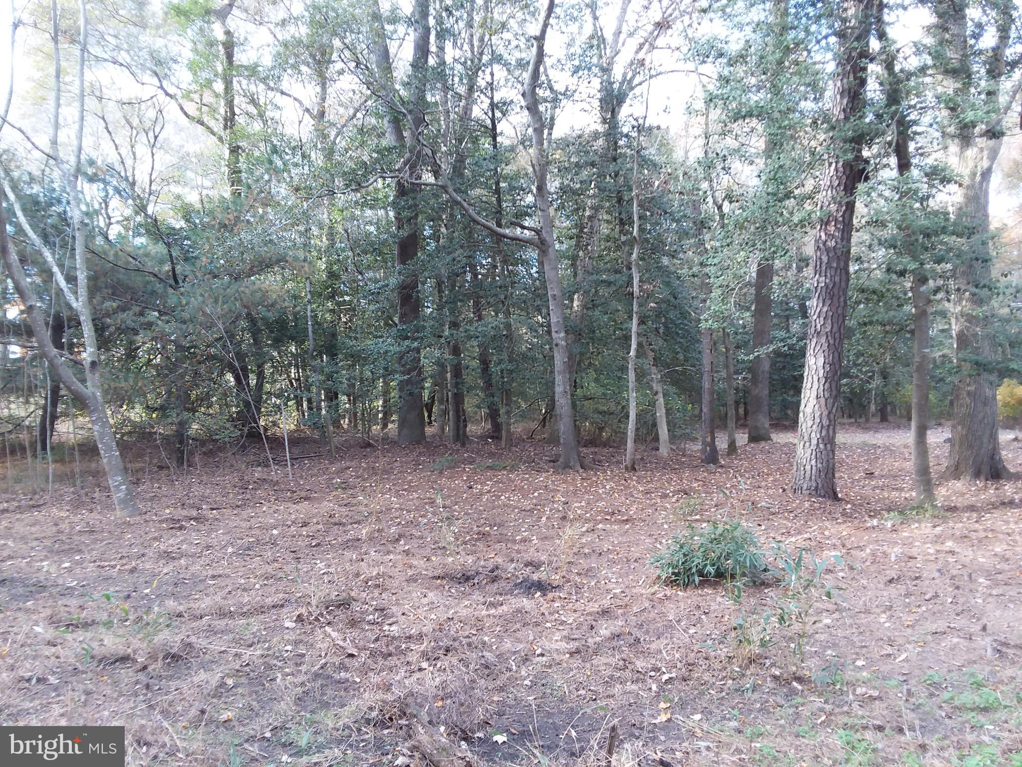 3233 Sheephouse Road Pocomoke City, MD 21851 - Photo 2 of 54 Gallery Image 2