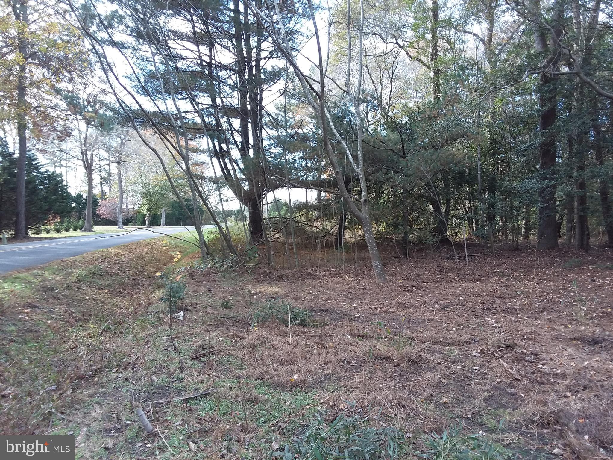 3233 Sheephouse Road Pocomoke City, MD 21851 - Photo 11 of 54 Gallery Image 11