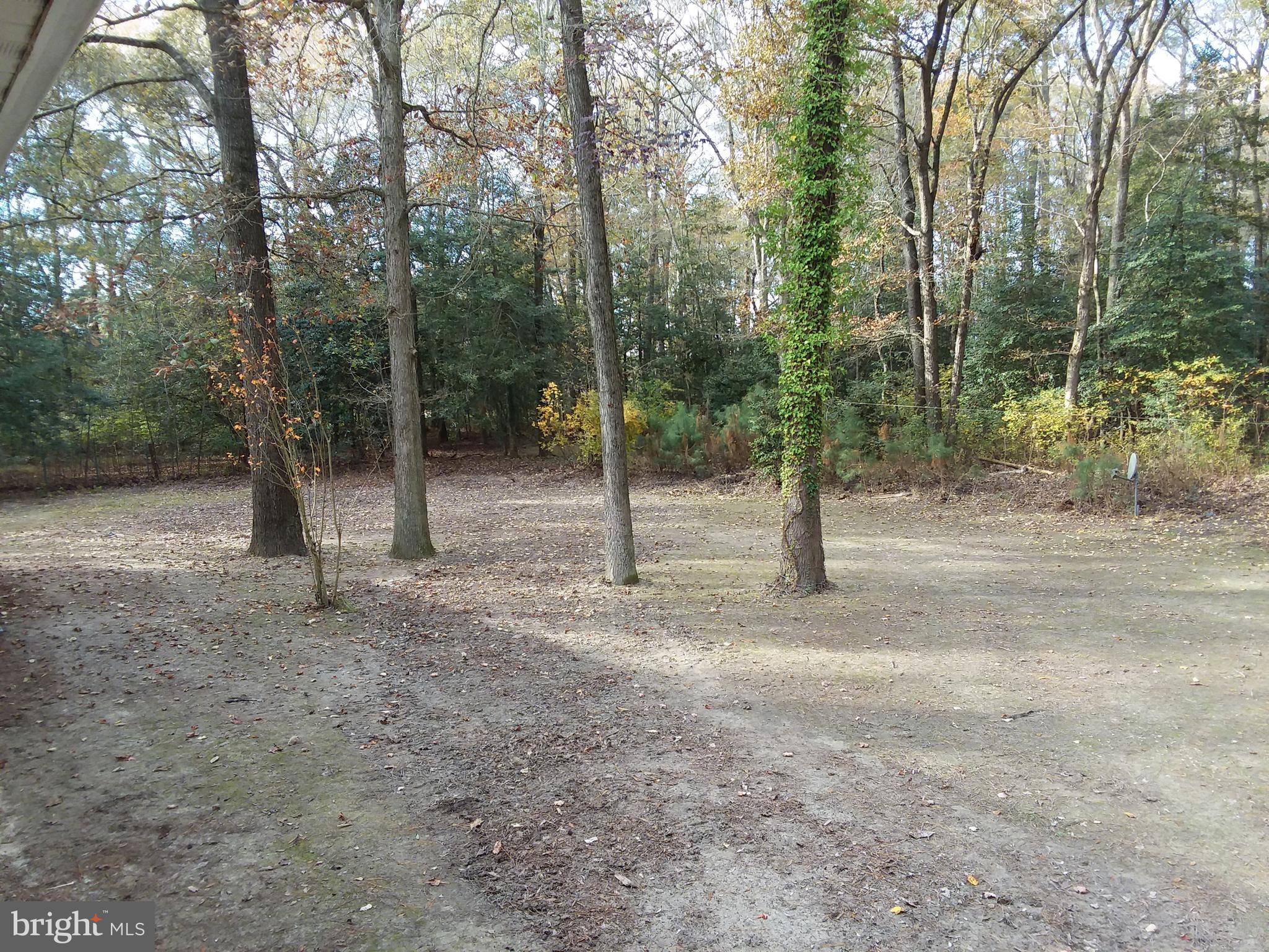 3233 Sheephouse Road Pocomoke City, MD 21851 - Photo 45 of 54 Gallery Image 45