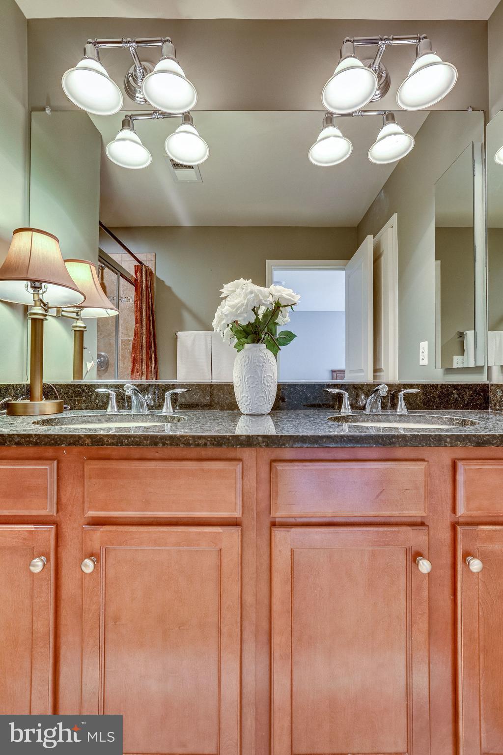 3305 Kemper Road Arlington, VA 22206 - Photo 24 of 45 Gallery Image 24