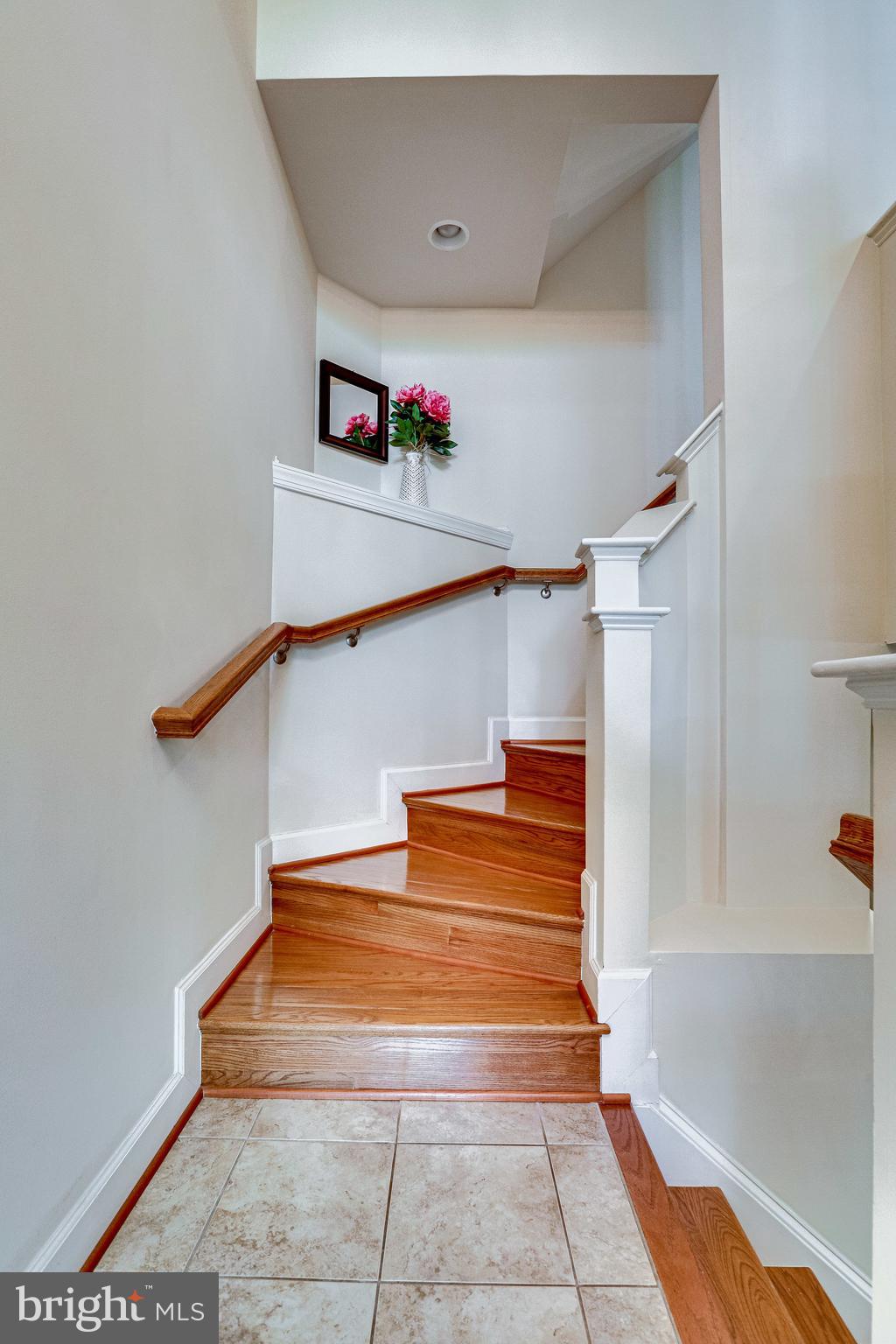 3305 Kemper Road Arlington, VA 22206 - Photo 5 of 45 Gallery Image 5