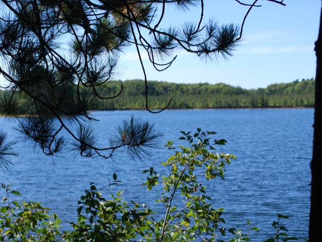 6389 Swallow Road Lake Tomahawk, WI 54539 - Photo 18 of 19 Gallery Image 18